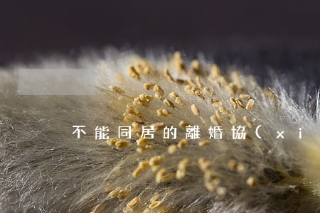不能同居的離婚協(xié)議書怎么寫