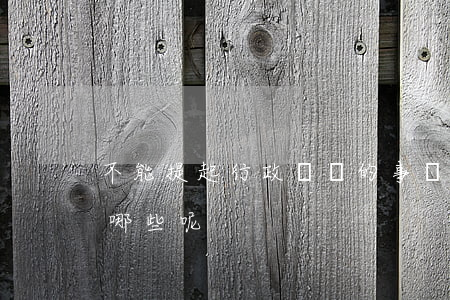 不能提起行政訴訟的事項(xiàng)有哪些呢