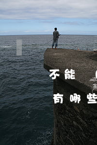 不能構(gòu)成為單位犯罪的主體到的有哪些（單位犯罪界定）