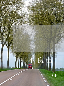 不良五級分類分別為逾期多長時(shí)間-五級不良率什么意思