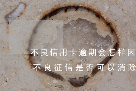 不良信用卡逾期会怎样(因信用卡逾期造成的不良征信是否可以消除)