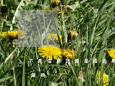不良信用記錄是指逾期嘛(逾期算不良誠信記錄嗎)