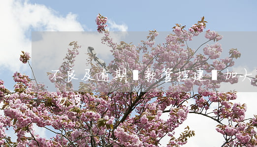 不良及逾期貸款管控建議(加大不良貸款處置力度)