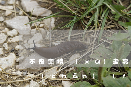不良率持續(xù)走高，五分鐘看懂不良資產(chǎn)發(fā)展新機(jī)遇
