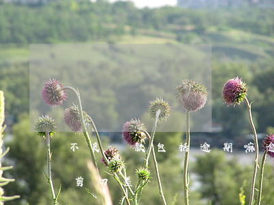 不良貸款包括逾期嘛(逾期貸款與不良貸款的剪刀差)