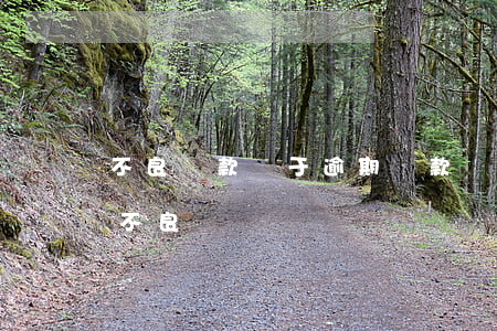 不良貸款屬于逾期貸款嗎(貸款逾期多久進入不良)