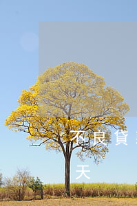 不良貸款指逾期多少天(不良貸款指逾期多少天)