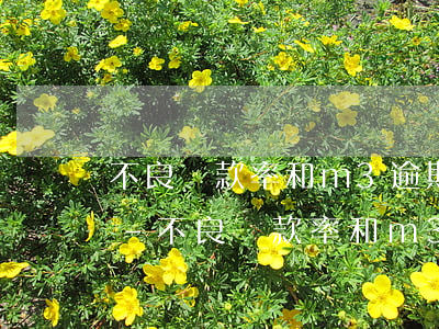 不良貸款率和m3 逾期比率的區(qū)別-不良貸款率和m3 逾期比率的區(qū)別是什么