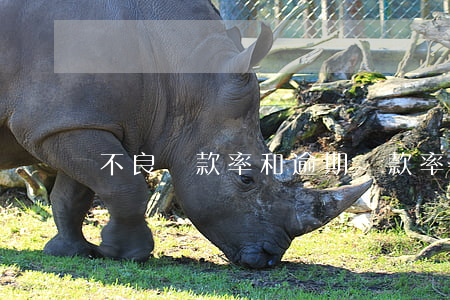 不良貸款率和逾期貸款率(不良貸款率要求)