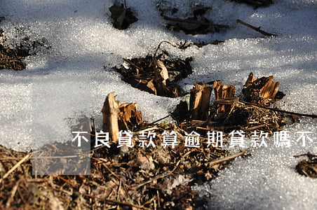 不良貸款算逾期貸款嗎(不良貸款怎么算)