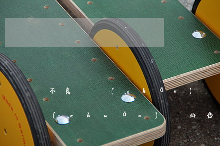 不良資產(chǎn)債權(quán)轉(zhuǎn)讓公告登報(bào)就有效嗎