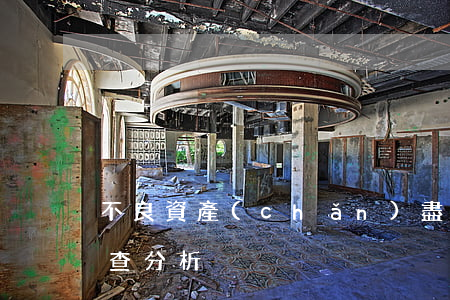 不良資產(chǎn)盡職調(diào)查分析
