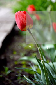 不良資產(chǎn)處置債權(quán)轉(zhuǎn)讓，你了解多少？