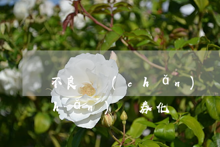 不良資產(chǎn)證券化(不良資產(chǎn)證券化試點)