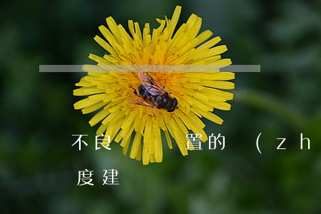 不良資產處置的戰(zhàn)略機遇與制度建設