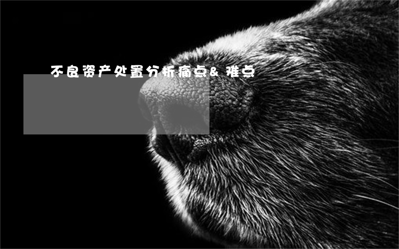 不良资产处置分析痛点&难点
