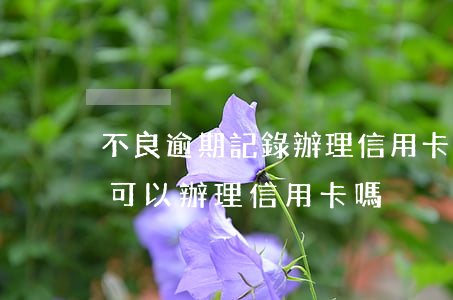不良逾期記錄辦理信用卡-有不良信用記錄可以辦理信用卡嗎