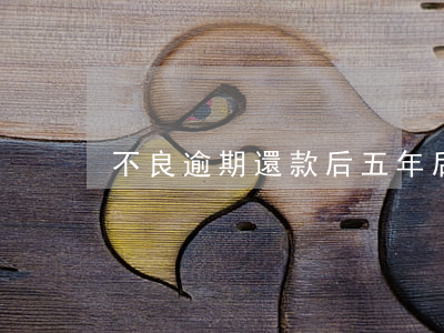 不良逾期還款后五年后還看得到嗎