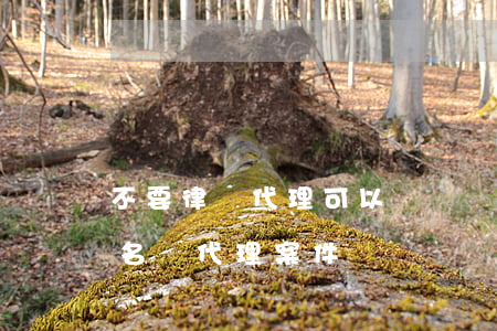 不要律師代理可以訴訟嗎(律師可以不以律師名義代理案件嗎)