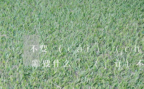 不要財(cái)產(chǎn)起訴離婚需要什么證據(jù)(不要財(cái)產(chǎn)起訴離婚需要什么證據(jù))