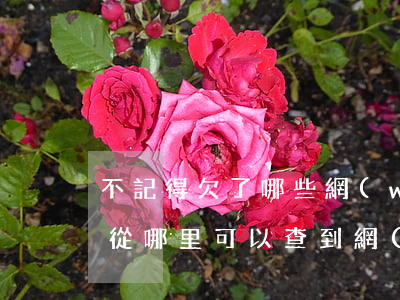 不記得欠了哪些網(wǎng)貸怎么查帳(從哪里可以查到網(wǎng)貸有沒有欠款)