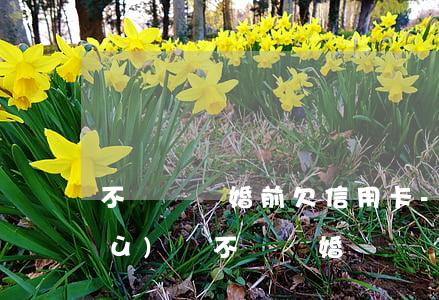 不該隱瞞婚前欠信用卡-隱瞞婚前債務(wù)該不該離婚