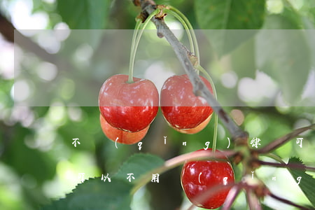 不請(qǐng)律師可以訴訟嗎(民事訴訟可以不用請(qǐng)律師嗎)
