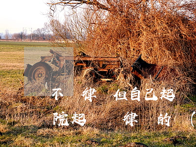 不請律師但自己起訴費(fèi)用多少(法院起訴請律師的費(fèi)用誰承擔(dān))