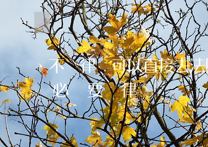 不請律師可以直接去法院起訴嗎(向法院起訴必須要請律師嗎?)