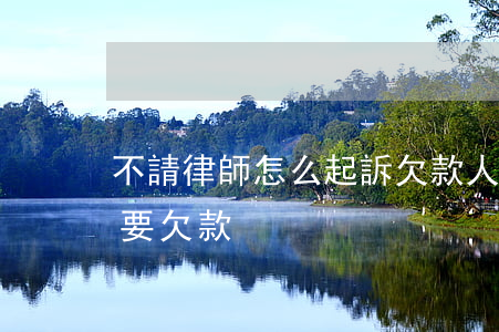 不請律師怎么起訴欠款人(不找律師怎么起訴要欠款)