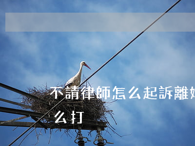 不請律師怎么起訴離婚(離婚官司不請律師怎么打)