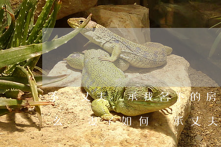 不讓丈夫繼承我名下的房產(chǎn)怎么辦(妻子如何繼承丈夫房產(chǎn))