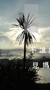 不讓離婚的孩子和媽媽見面(離婚后孩子不想見媽媽她又起訴)