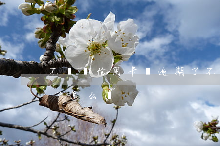 不賣車信用卡會逾期了(不賣車信用卡會逾期了怎么辦)