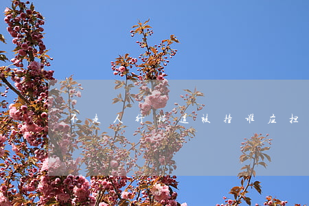 不走人行横道被撞,谁应担责
