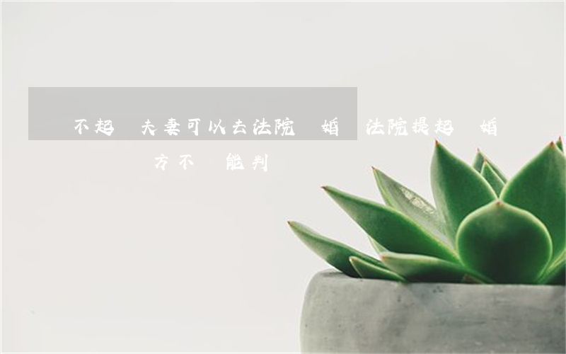 不起訴夫妻可以去法院離婚嗎(法院提起離婚訴訟,對方不來能判離嗎)
