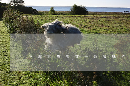 不起訴影響孩子政審嗎(不起訴會影響政審不)