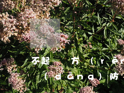 不起訴！檢方認(rèn)定刺死傳銷者系正當(dāng)防衛(wèi)