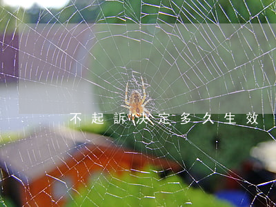 不起訴決定多久生效