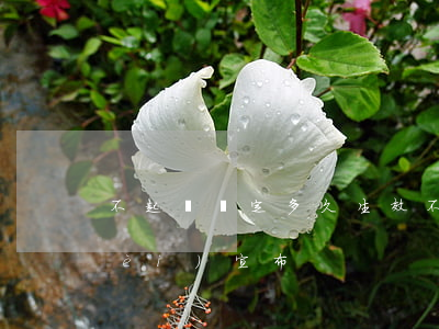 不起訴決定多久生效(不起訴決定幾日內(nèi)宣布)