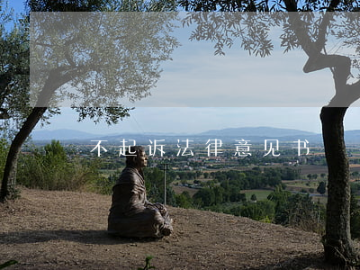 不起诉法律意见书