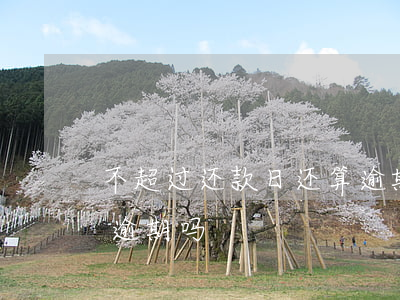 不超过还款日还算逾期吗(过了还款日还款算逾期吗)