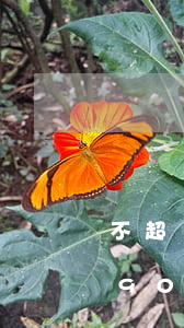 不超過90天的逾期多久可以消除-未超過90天的逾期