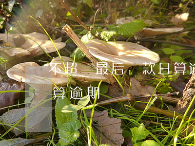 不超過最后還款日算逾期(不超過最后還款日算逾期)
