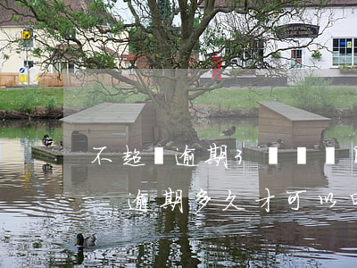 不超過逾期3個賬單日才好申請停息掛賬嗎-逾期多久才可以申請停息掛賬