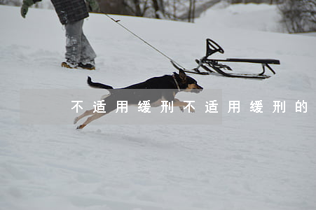不适用缓刑，不适用缓刑的几种情形