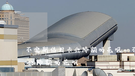 不逾期信用卡会降额吗花呗-不逾期信用卡会降额吗花呗