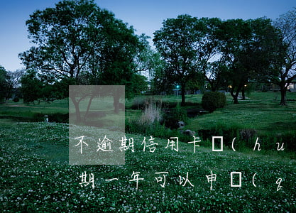 不逾期信用卡會(huì)降額嗎（信用卡逾期一年可以申請(qǐng)減免嗎）