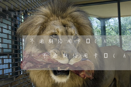 不逾期信用卡會(huì)降額嗎貼吧最新-不逾期信用卡會(huì)降額嗎貼吧最新消息