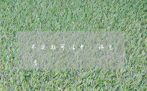 不逾期可以申請停息掛賬嗎（剛逾期能申請停息掛賬嗎）